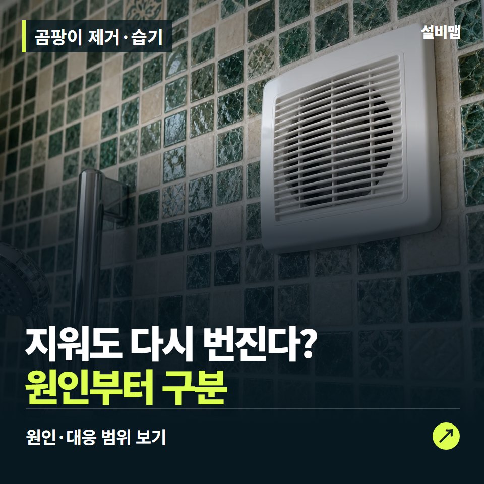 곰팡이 제거·습기, 지워도 번진다면 습기 원인부터 — 증상과 비용 안내 이미지