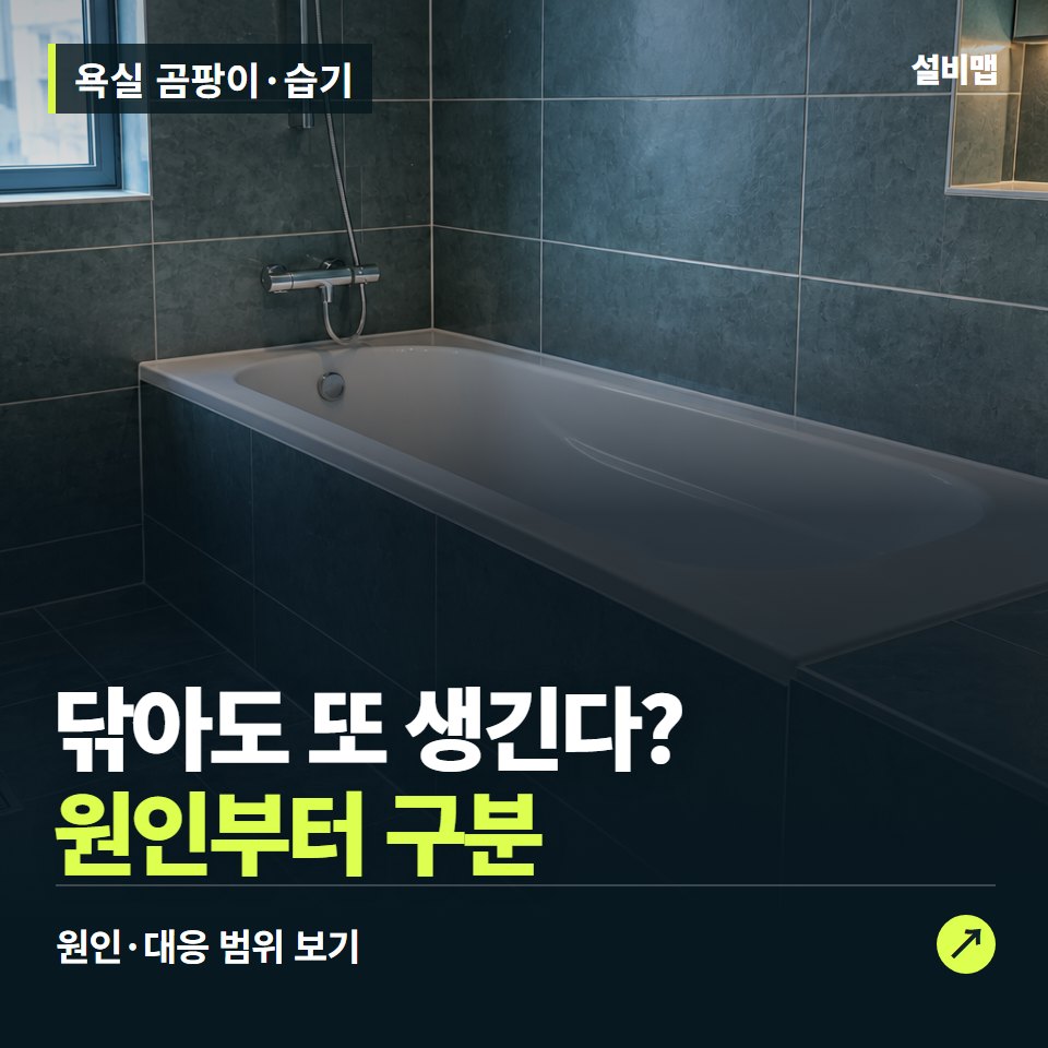 욕실 곰팡이·습기, 닦아도 다시 생긴다면 습기 원인까지 — 증상과 비용 안내 이미지