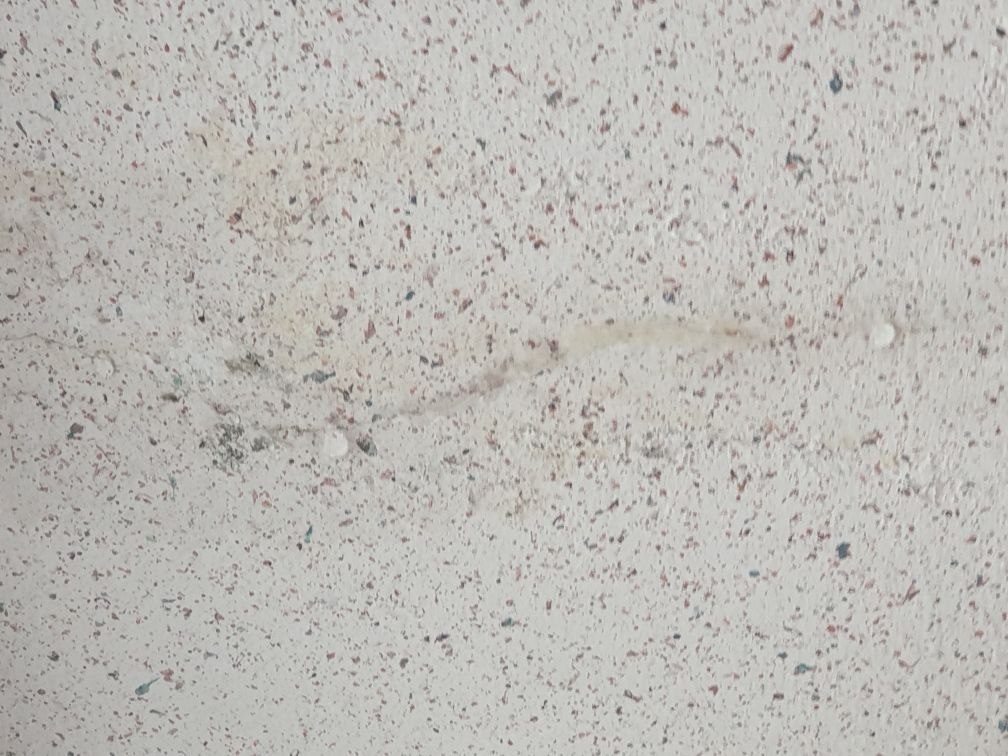 천장 마감면에 옅은 갈색 물 얼룩 선과 검은 곰팡이 점이 함께 번져 있는 현장 사진